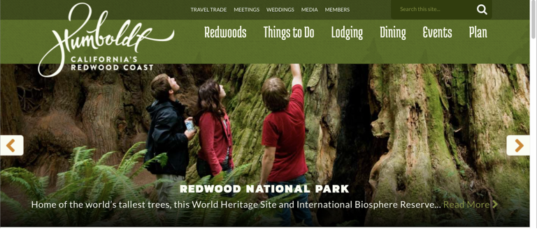 visit redwoods explore redwood national park page snapshot